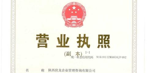陜西伏龍企業(yè)管理咨詢(xún) 賦能企業(yè)，驅(qū)動(dòng)增長(zhǎng)